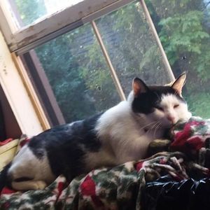 Meet your Posher, Tammy